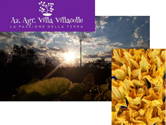 Villa Villacolle