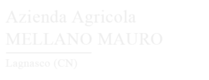 logo Partner AZ AGR MELLANO