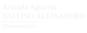 logo Partner AZ AGR VALLINO