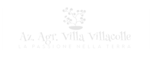 logo Partner AZ AGR VILLA VILLACOLLE