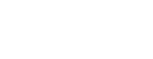 logo Partner-DSV-450x174-bianco-gelsonet
