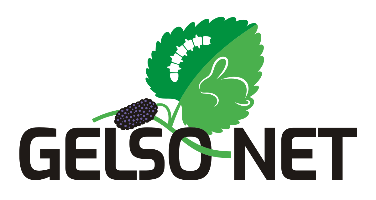 Logo Gelso-Net